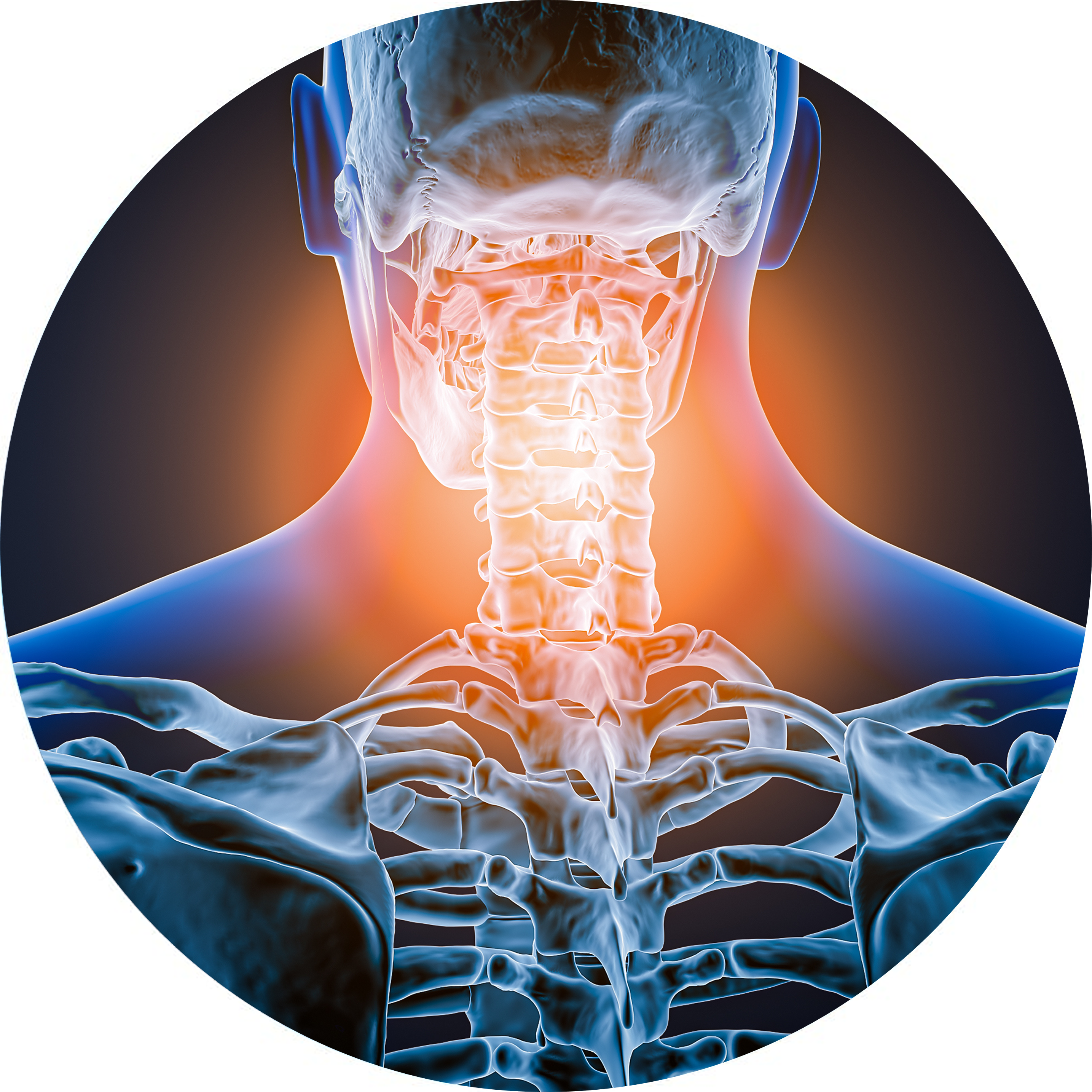 Spezialist für Knie